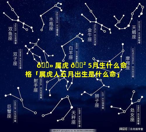 🌻 属虎 🌲 5月生什么命格「属虎人五月出生是什么命」